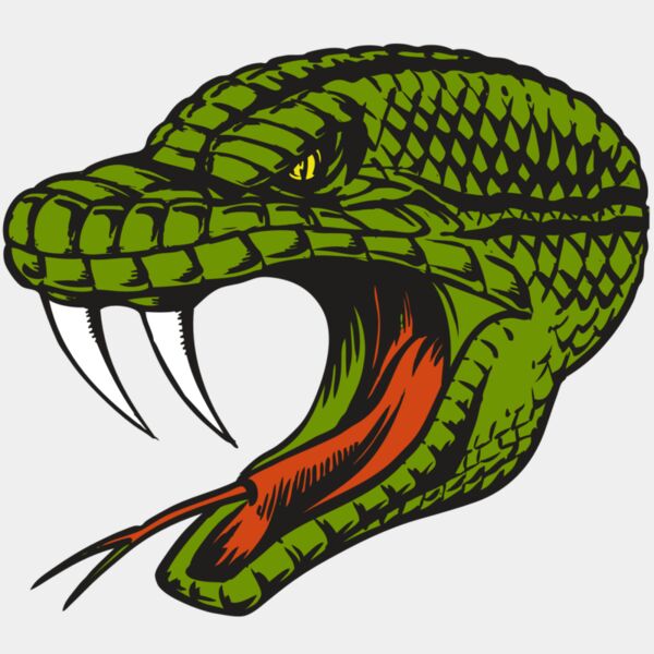 BAW SNAKE 14 RC Thumbnail